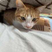 ヒメ日記 2026/03/05 08:44 投稿 片瀬 人妻風俗チャンネル