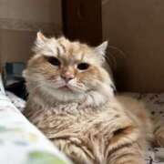 ヒメ日記 2026/03/09 06:53 投稿 片瀬 人妻風俗チャンネル