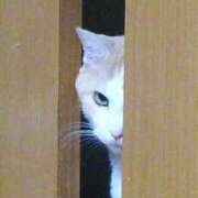 ヒメ日記 2026/03/21 08:23 投稿 片瀬 人妻風俗チャンネル