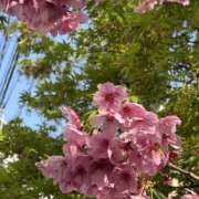 ヒメ日記 2026/03/24 06:17 投稿 片瀬 人妻風俗チャンネル