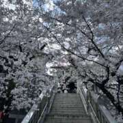 ヒメ日記 2026/03/28 08:02 投稿 片瀬 人妻風俗チャンネル