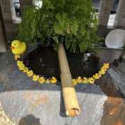 ヒメ日記 2026/03/28 12:21 投稿 片瀬 人妻風俗チャンネル