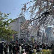 ヒメ日記 2026/03/30 09:28 投稿 片瀬 人妻風俗チャンネル