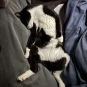 ヒメ日記 2026/03/30 17:57 投稿 片瀬 人妻風俗チャンネル