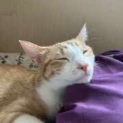 ヒメ日記 2026/04/01 12:05 投稿 片瀬 人妻風俗チャンネル