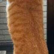 ヒメ日記 2026/04/03 07:02 投稿 片瀬 人妻風俗チャンネル