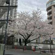 ヒメ日記 2026/04/04 09:34 投稿 片瀬 人妻風俗チャンネル