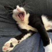 ヒメ日記 2026/04/04 17:14 投稿 片瀬 人妻風俗チャンネル