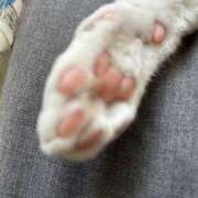 ヒメ日記 2026/04/07 06:56 投稿 片瀬 人妻風俗チャンネル