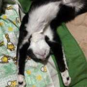 片瀬 出掛ける寸前、、、 人妻風俗チャンネル