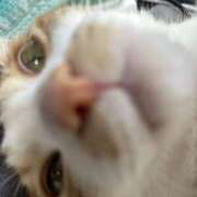 片瀬 風がっ！！！ 人妻風俗チャンネル