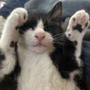 片瀬 出勤しました！ 人妻風俗チャンネル