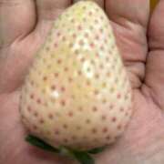 ヒメ日記 2026/04/09 16:51 投稿 片瀬 人妻風俗チャンネル