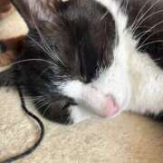 ヒメ日記 2026/04/10 13:35 投稿 片瀬 人妻風俗チャンネル