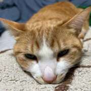 ヒメ日記 2026/04/13 10:25 投稿 片瀬 人妻風俗チャンネル