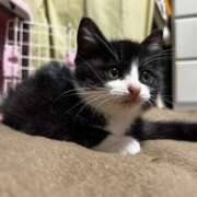 ヒメ日記 2026/04/13 21:38 投稿 片瀬 人妻風俗チャンネル