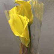 ヒメ日記 2026/04/15 17:54 投稿 片瀬 人妻風俗チャンネル