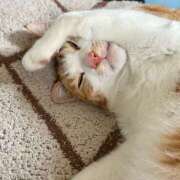 片瀬 帰宅しました 人妻風俗チャンネル