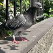 ヒメ日記 2026/04/19 21:10 投稿 片瀬 人妻風俗チャンネル