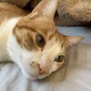 ヒメ日記 2026/04/23 18:59 投稿 片瀬 人妻風俗チャンネル