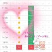 ヒメ日記 2026/08/17 09:44 投稿 ようこ エディーズ