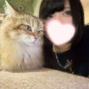 ヒメ日記 2026/09/08 09:35 投稿 ありさ バイオレンス