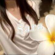 ヒメ日記 2026/02/25 20:31 投稿 姫月さら グランエステ東京 品川（シンデレラグループ）