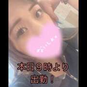 ヒメ日記 2026/08/09 06:11 投稿 せりな 鎌倉御殿 新館