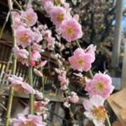 ヒメ日記 2026/02/28 23:35 投稿 ゆず 横浜おかあさん