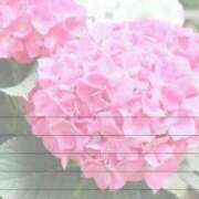 ヒメ日記 2026/06/03 21:35 投稿 ゆず 横浜おかあさん