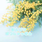 まみ ドキドキ♡ 山口周南ちゃんこ