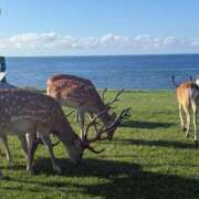 ヒメ日記 2026/03/04 13:29 投稿 りお Mrs Sirena（ミセスシレナ）