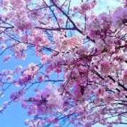 ヒメ日記 2026/03/05 17:29 投稿 りお Mrs Sirena（ミセスシレナ）