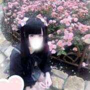 ヒメ日記 2026/02/25 12:22 投稿 アルカ E+アイドルスクール　大阪・日本橋店