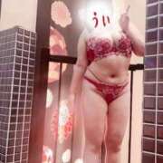 ヒメ日記 2026/03/14 19:25 投稿 うい 丸妻 新横浜店
