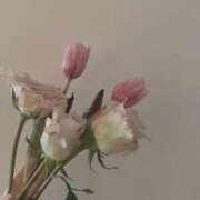 ヒメ日記 2026/03/03 16:28 投稿 新人・乃々花(ののか) グランドオペラ福岡