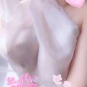 ヒメ日記 2026/02/19 18:25 投稿 池田そら elumo(エルモ)