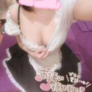 ヒメ日記 2026/04/07 15:50 投稿 池田そら elumo(エルモ)