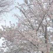 ヒメ日記 2026/04/08 15:44 投稿 スイ ソープランド マックス