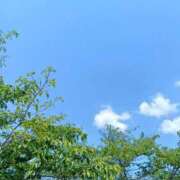 ヒメ日記 2026/06/06 09:27 投稿 ほのり 熟女家 堺東店