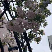 ヒメ日記 2026/04/13 08:44 投稿 たお New Sky