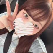 ヒメ日記 2026/06/23 10:00 投稿 たお New Sky