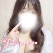 ヒメ日記 2026/04/01 10:16 投稿 あん 極楽城(ゴクラクジョウ)