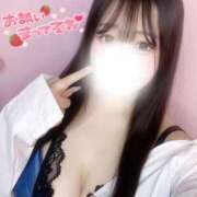 ヒメ日記 2026/04/07 15:59 投稿 あん 極楽城(ゴクラクジョウ)