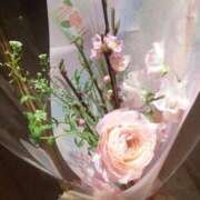 ヒメ日記 2026/02/24 23:46 投稿 木村ゆみか MADAM