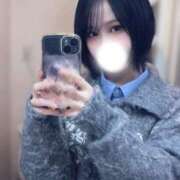 ヒメ日記 2026/03/05 17:19 投稿 朝霧すみれ JKリフレ東京 秋葉原本店