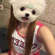 ヒメ日記 2026/07/07 06:56 投稿 えま 11チャンネル