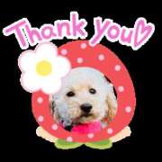 ヒメ日記 2026/03/06 12:20 投稿 上田千香子 五十路マダム 愛されたい熟女たち 高松店