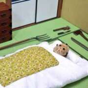 ヒメ日記 2026/03/12 20:50 投稿 上田千香子 五十路マダム 愛されたい熟女たち 高松店