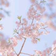 ヒメ日記 2026/03/21 12:44 投稿 えま 出会い系人妻ネットワーク 春日部〜岩槻編